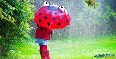 日本雨季要來了，聰明的亞馬遜賣