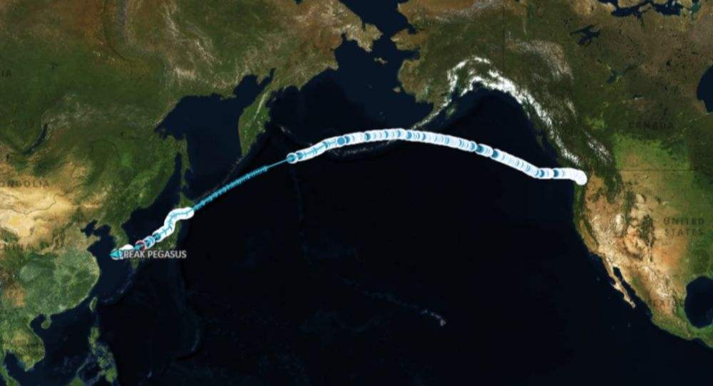 國際貿(mào)易，國際物流_美國大豆船Peak Pegasu身在何方？