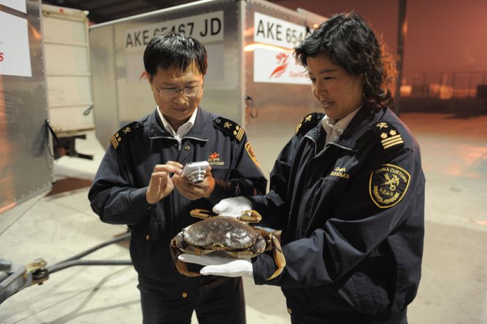 國際海運，散貨拼箱海關通關報檢一般都檢查哪些方面？