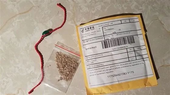 亞馬遜禁止外國植物或種子銷往美國！歐洲站零售副總裁將于年底離職！